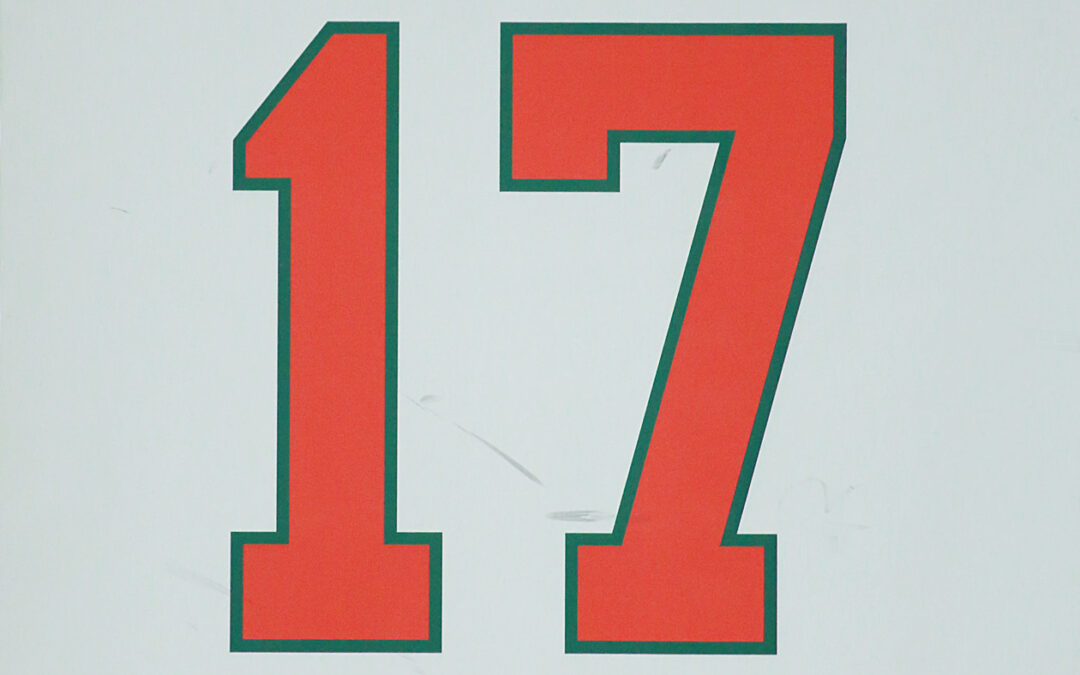 1999 Hasse Hansson nr 17